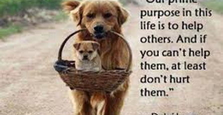 Sh@ring College Life Experiences - PART III